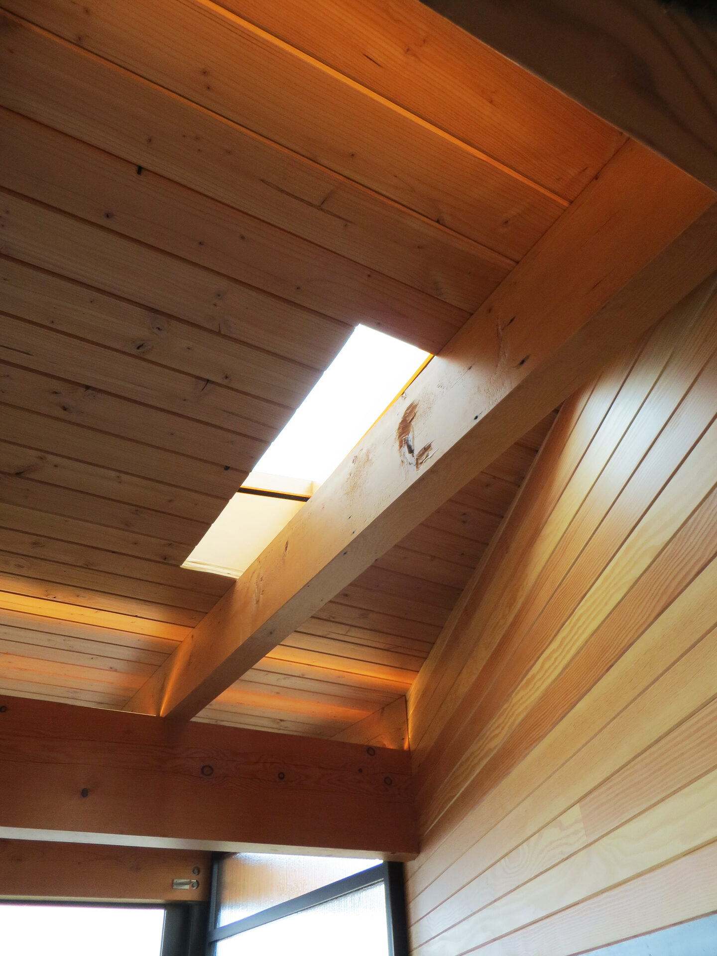 Garden Pavilion — residential architecture, Seattle, WA